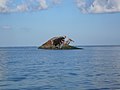 SS Atlantus