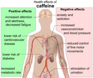 Health effects of caffeine.png