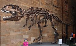 Giganotosaurus.jpg