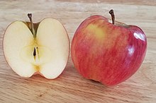 Autumn glory apple cultivar.jpg