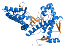 Hyaluronidase 1 2PE4.png