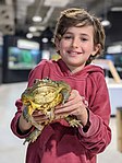 BMNH Small Animals 2.jpg