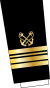 GR-Coastguard-OF4-sleeve.svg