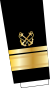 GR-Coastguard-OF7-sleeve.svg