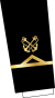 GR-Coastguard-WO1-sleeve.svg