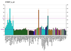 PBB GE GCS1 210627 s at fs.png