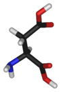 Chemical structure of the amino acid aspartate