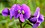 Stub icon
