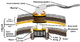 Bacterial flagellum diagram.png
