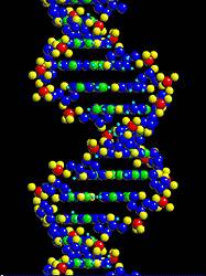  Intelligent design