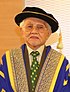 Abdul Taib Mahmud.jpg