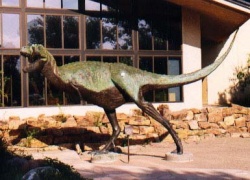 Albertosaurus.jpg