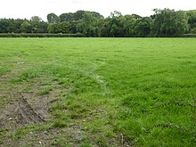 Sheepy Fields 3.jpg