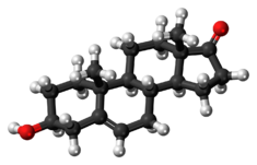 Dehydroepiandrosterone molecule ball.png