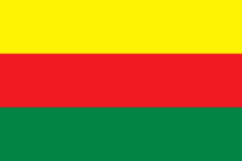 flag of the DFNS