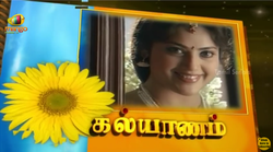Kalyanam serial.png