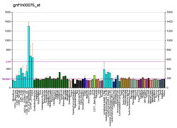 PBB GE FARSB gnf1h00075 at fs.png
