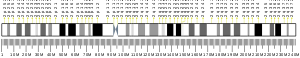 Chromosome 2 (human)