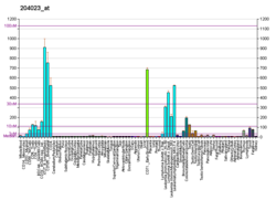 PBB GE RFC4 204023 at fs.png