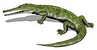 Champsosaurus natator