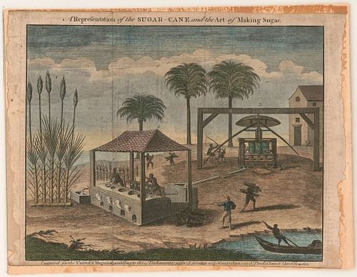 Colonial Sugar Cane Manufacturing