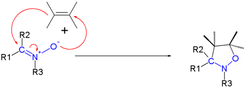 Nitrone cycloadditions