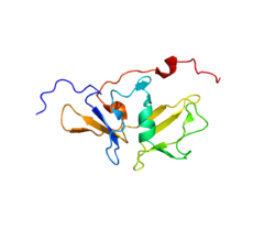 Protein IFIH1 PDB 2RQB.png