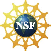 Nsf logo.jpg