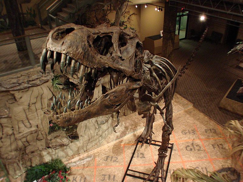 File:Glendive stan.JPG