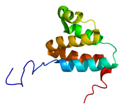 Protein TNFRSF21 PDB 2dbh.png