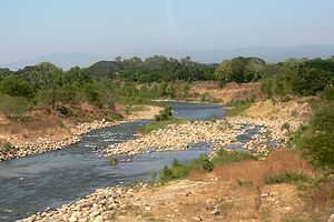Mascota River 1.jpg
