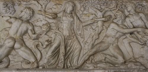 Leto Fighting Giants
