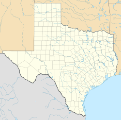 Palace Hotel (Houston) is located in Texas