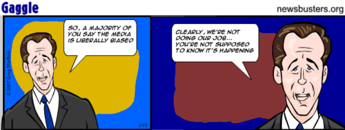 Liberal Bias.png