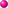 Pink ff0080 pog.svg