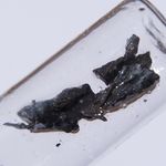 Sample of Strontium.jpg
