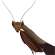 Stub icon