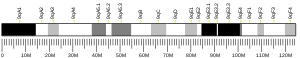 Chromosome 9 (mouse)