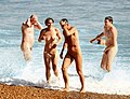 Image 34People bathing naked after the World Naked Bike Ride in Brighton, 2017 (from Naturism)