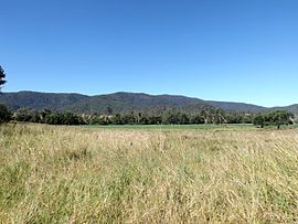 Paddocks Sandy Creek Queensland.jpg