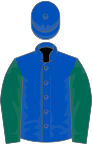 Royal blue, dark green sleeves, royal blue cap