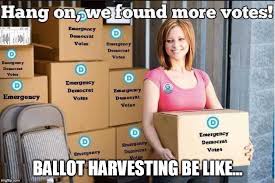 Ballot harvesting.jpeg