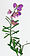 Stub icon