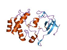 PDB 1dj7 EBI.jpg