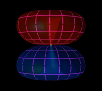 Primer Fields.png