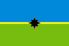 Flag of Chystiakove