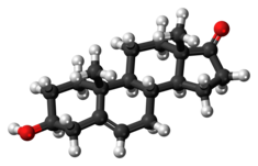 Dehydroepiandrosterone molecule ball.png