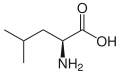 L-Leucine.svg