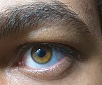 Amber-eyes.jpg