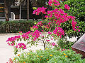 Thumbnail for version as of 21:56, 6 May 2012